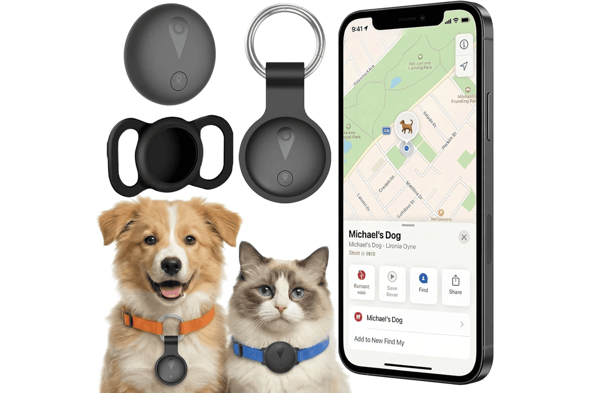 Collier GPS chat chien traceur sans frais mensuels iOS Android temps réel batterie longue durée étanche