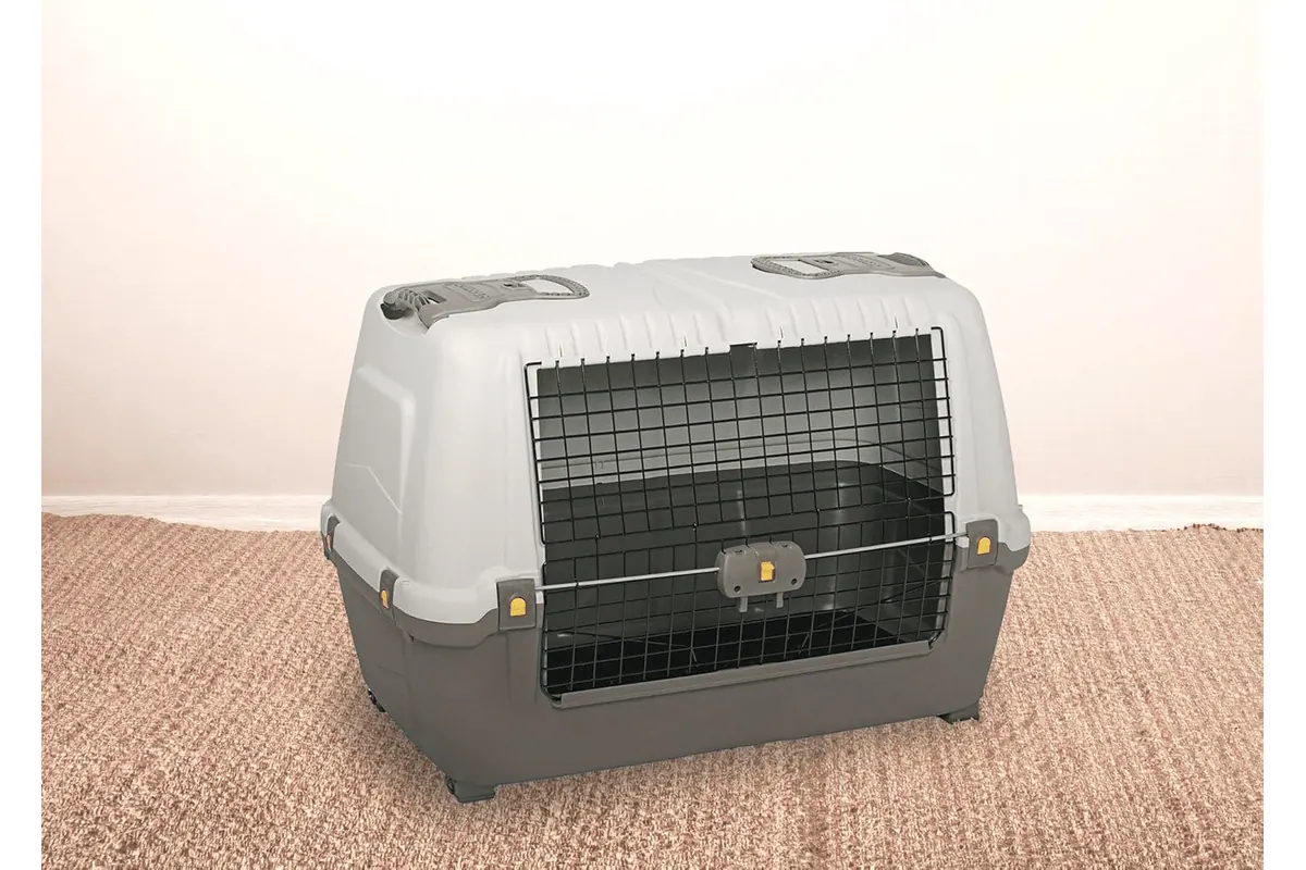 Cage de transport rigide Dmora Gistel pour chien ou chat
