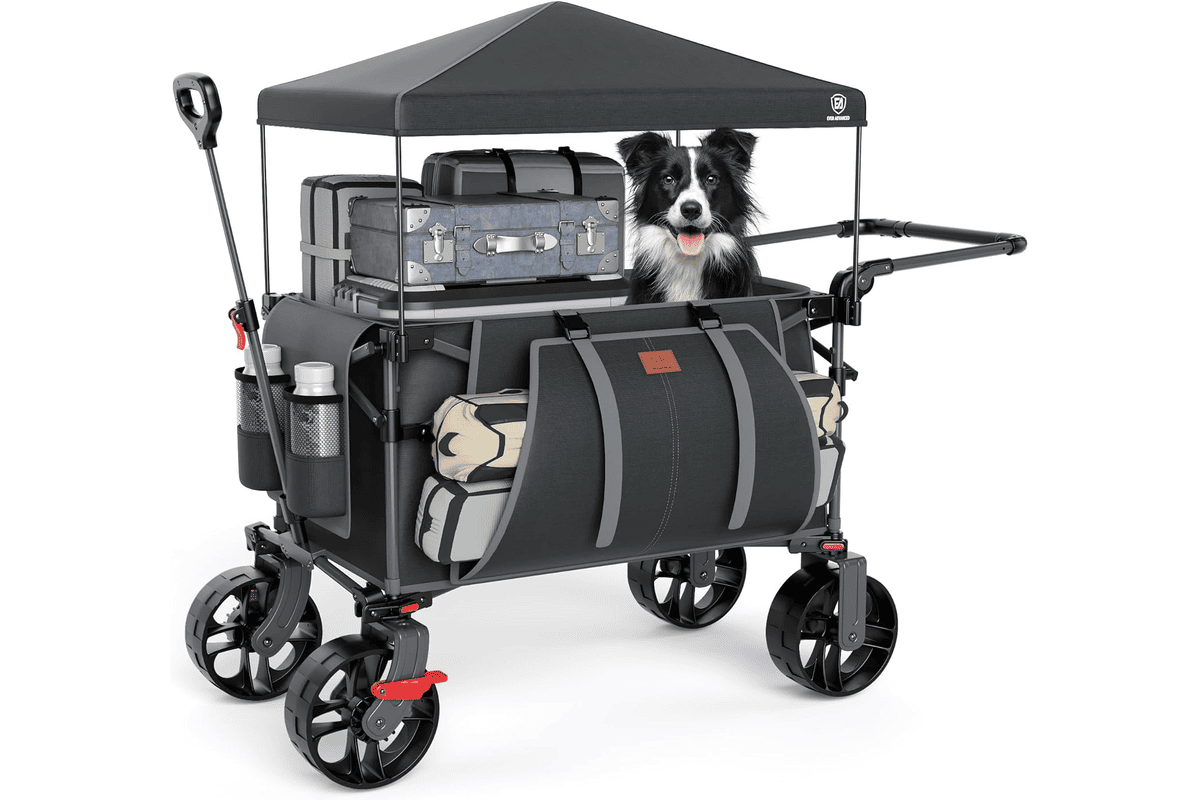 Chariot de plage pliable EVER ADVANCED XXL avec toit pare-soleil et roues tout-terrain