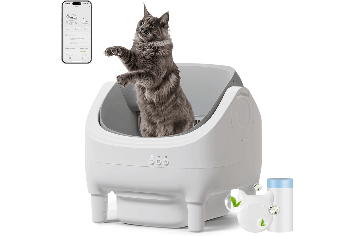 JUMMICO Litière chat autonettoyante automatique XXL (15 kg, application) Amazon 169,99 euros juillet 2026 bon plan