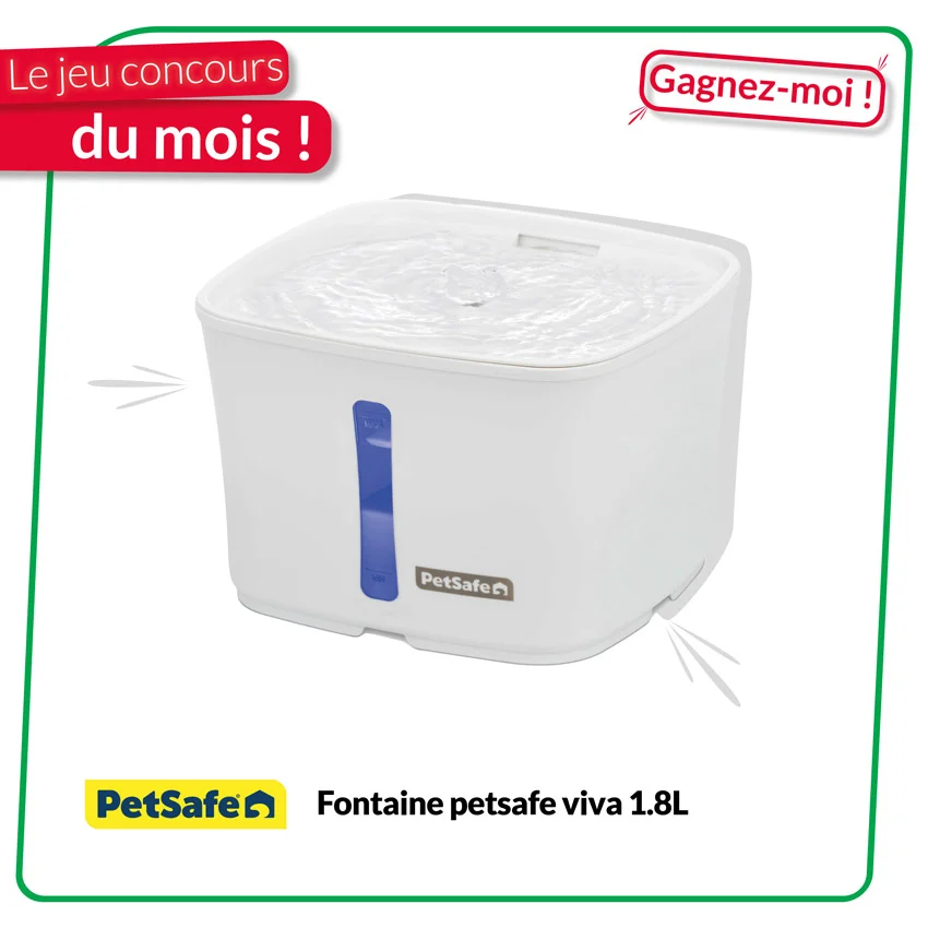 Fontaine à eau PetSafe Viva 1,8 L à gagner au concours Cynnotek