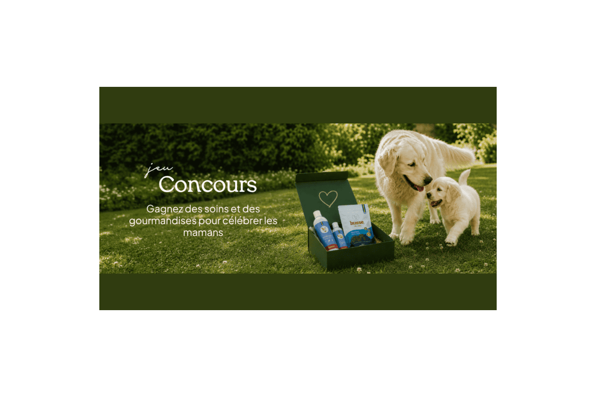 Concours Husse Fete des Meres box chien chat cheval soins gourmandises veterinaire labrador chiot mai 2026