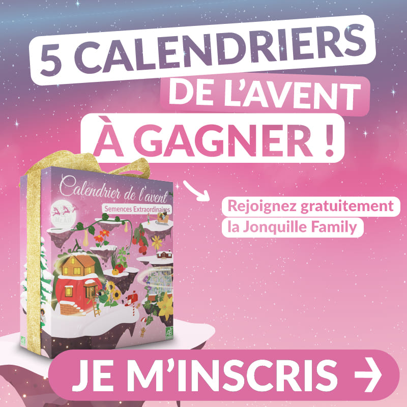 Concours Jonquille Family avec 5 calendriers de l'Avent 2026 spécial semences extraordinaires à gagner
