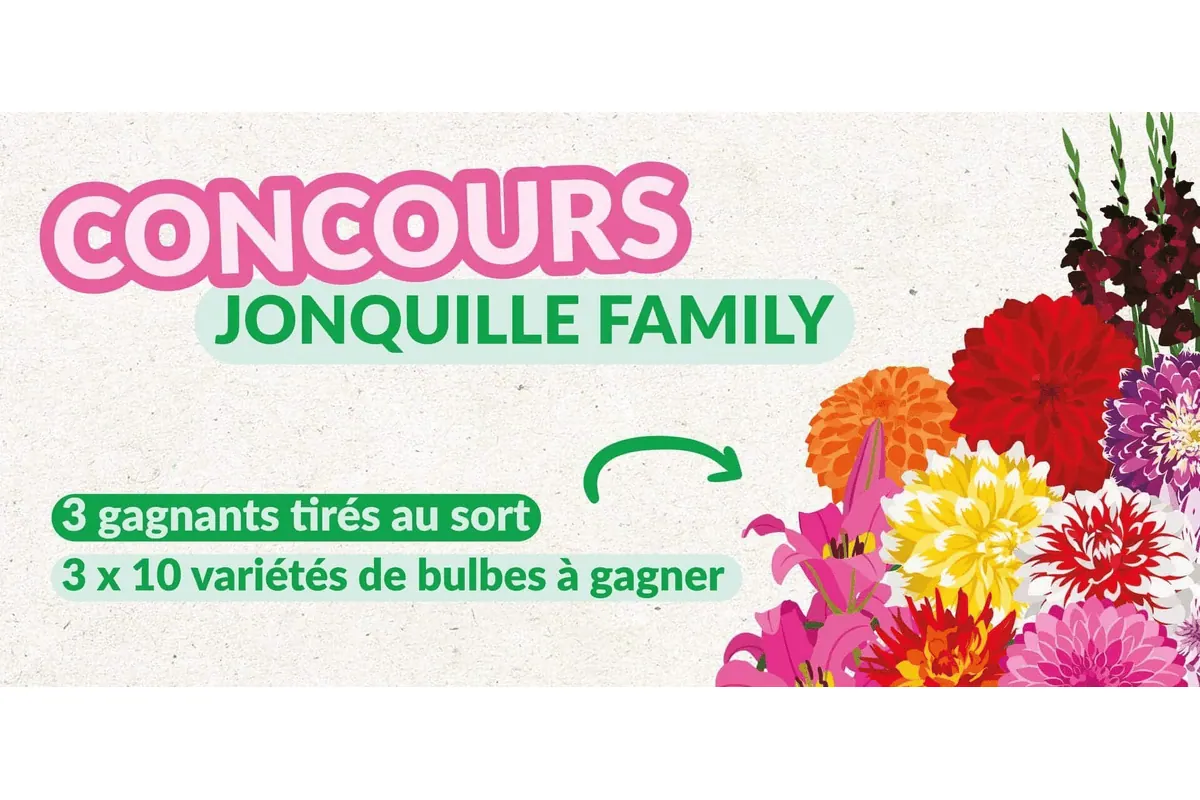 Concours Jonquille Family Dr. Jonquille et Mr. Ail : 3 gagnants tirés au sort 3 x 10 variétés de bulbes à gagner avec dahlias lys glaïeuls colorés