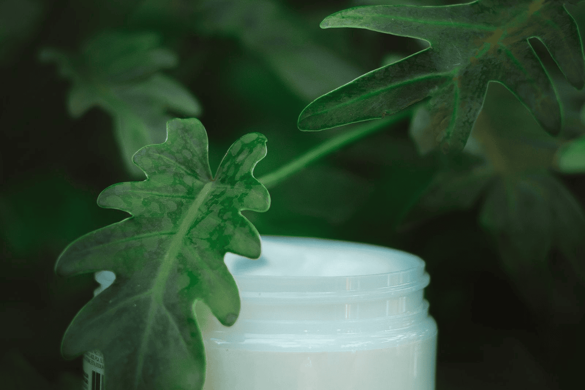 Duel Avril Crème Neutre Bio vs Cattier Soin Jour Hydratant Bio pour crème visage bio 2026