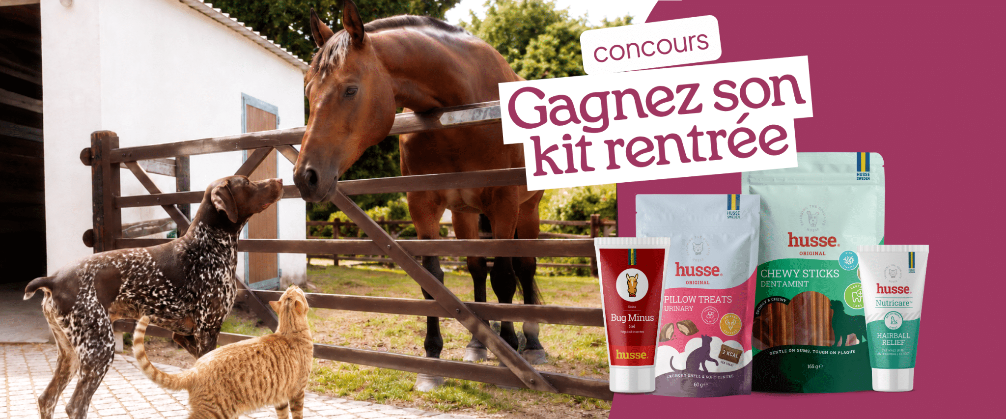 Concours Husse avec des kits de rentrée pour chien, chat ou cheval à gagner
