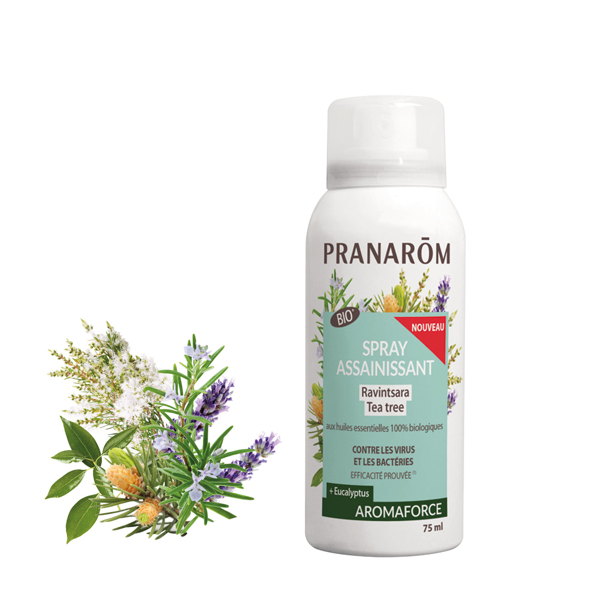 Spray assainissant Aromaforce Pranarôm Ravintsara Tea-tree bio 75 ml