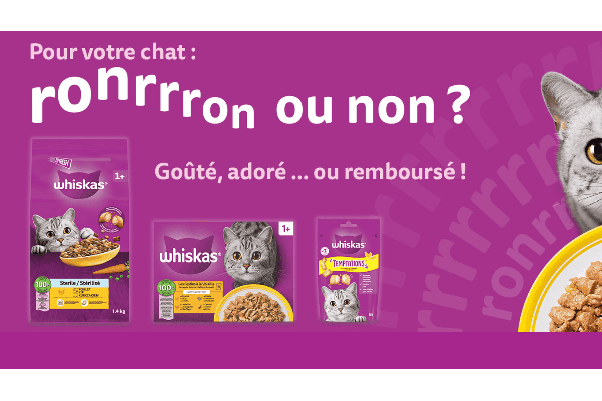 Visuel officiel Whiskas Satisfait ou Remboursé : ronrrron ou non, goûté adoré ou remboursé, avec sachets, boîtes et croquettes Whiskas devant un chat orange en arrière-plan