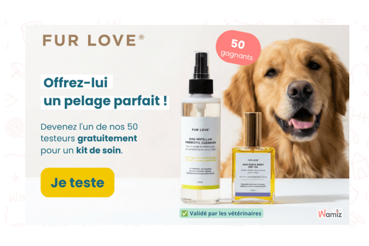 Test gratuit Fur Love kit soins sans rinçage chien Poil tout doux huile de soin eau micellaire hydratation brillance pelage