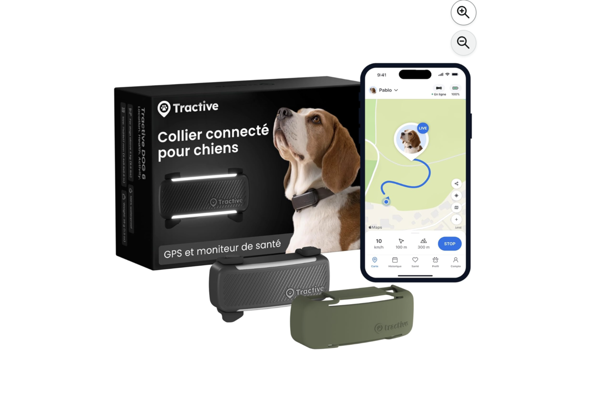 Tractive GPS chien collier connecte edition 2025 avec coque olive et application